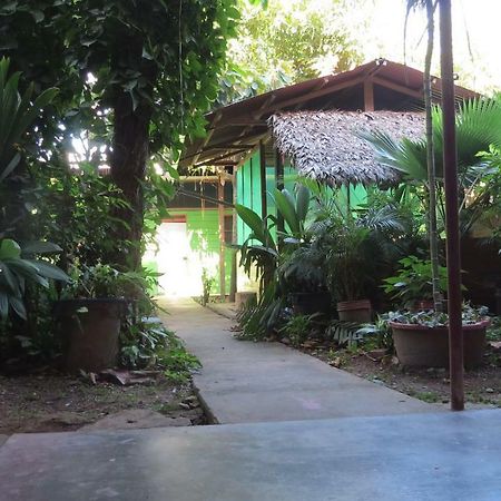 Tambopata Hostel Bambu 푸에르토말도나도 외부 사진