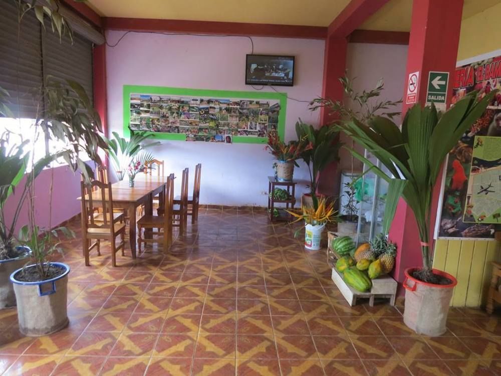 Tambopata Hostel Bambu 푸에르토말도나도 외부 사진