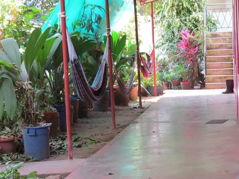 Tambopata Hostel Bambu 푸에르토말도나도 외부 사진
