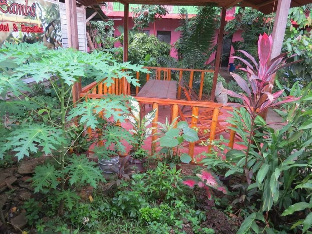 Tambopata Hostel Bambu 푸에르토말도나도 외부 사진