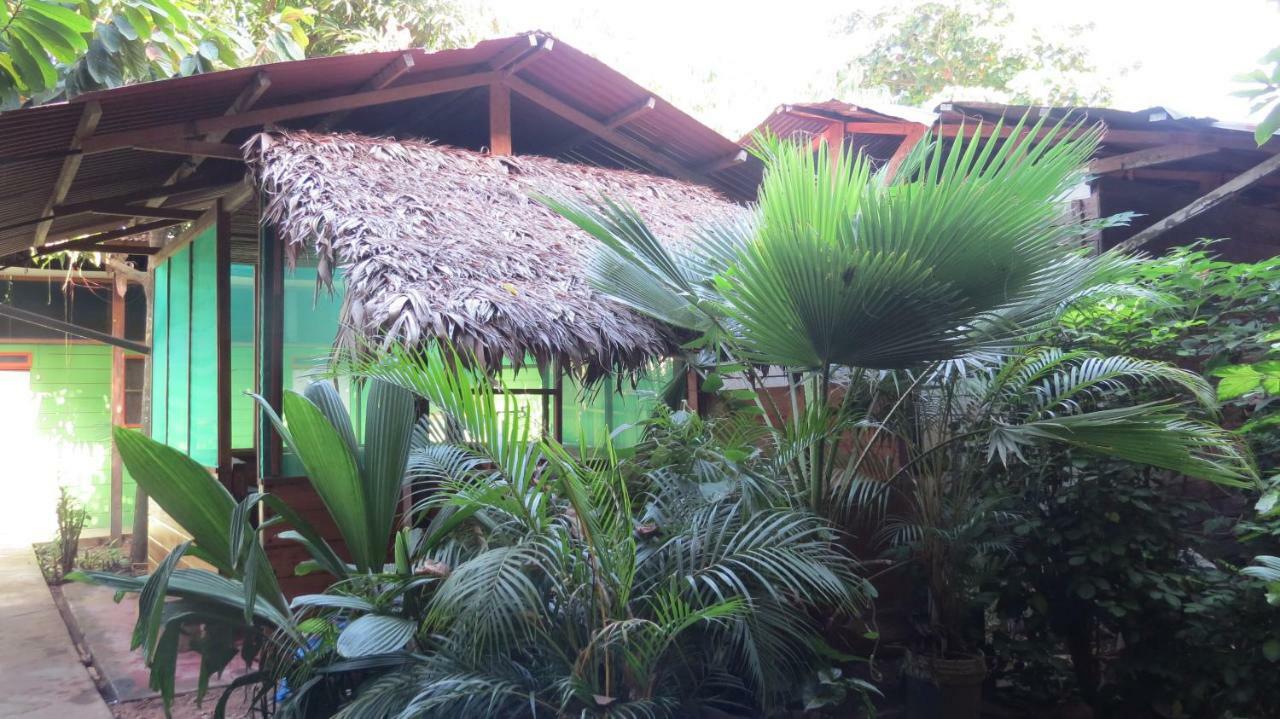 Tambopata Hostel Bambu 푸에르토말도나도 외부 사진