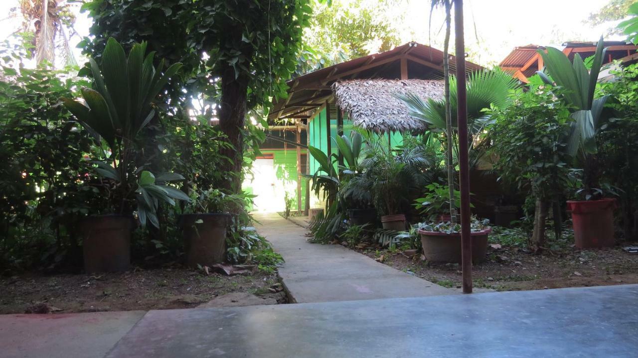Tambopata Hostel Bambu 푸에르토말도나도 외부 사진