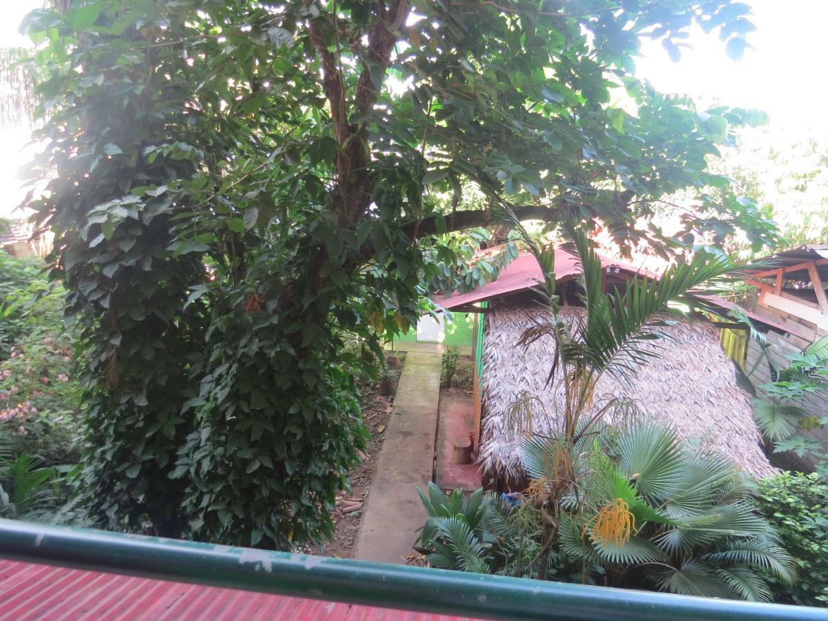 Tambopata Hostel Bambu 푸에르토말도나도 외부 사진