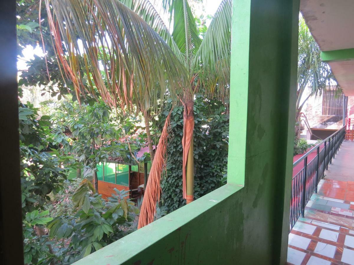 Tambopata Hostel Bambu 푸에르토말도나도 외부 사진